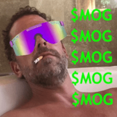 Mog Coin